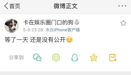 吃瓜视频爆料在哪里看啊,吃瓜视频爆料，独家观看指南大公开！