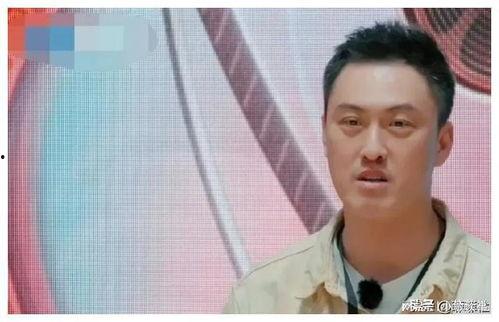 娱乐圈小说吃瓜爆料完结